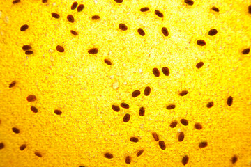 Background, dessert berry pastille with seeds closeup.