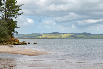 Sandstone cliff with trees at Kaipara