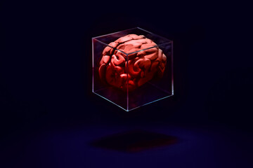Clay brain stuck in a clear box