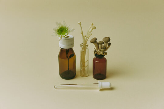 Medicinal mushroom still life