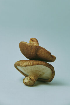 Closeup of two shiitake mushrooms