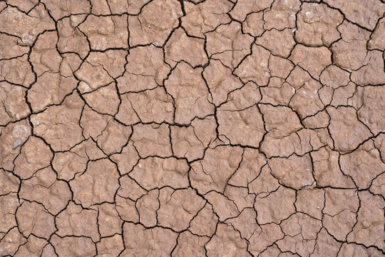 Texture of mud in a dry ground in a desert, Spain.
