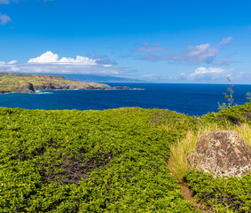 The Waikeakua Gulch Overlook Above Sea Cliffs on The Maui Coast, Maui, Hawaii, USA