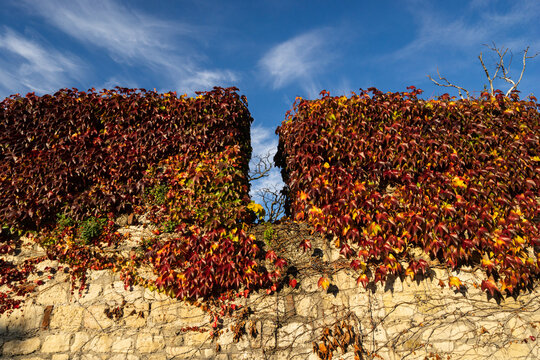 Belgrade Kalimegdan Fortress