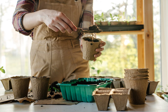 Anonymous person preparing peat pot for planting