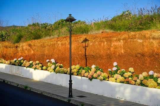 A lamppost