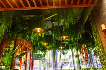 Interior of luxury Peruvian restaurant. Living plants hang from the ceiling among soft light lamps