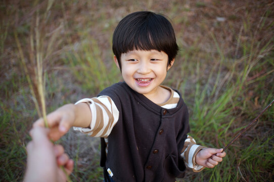 Asian little boy, playing in grass woods