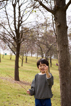 Little Asian boy, playing in the autumn forest