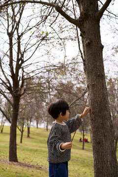 Little Asian boy, playing in the autumn forest