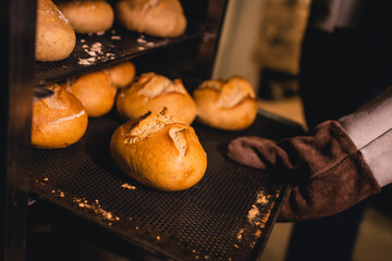 Frisch gebackene Brötchen auf dem Blech