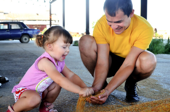 white rabbit in the car



