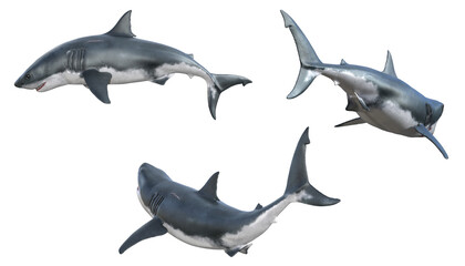 3d render white shark creature from the sea