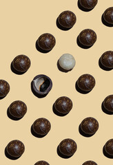 Macadamia nuts pattern