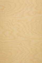 Fototapeta na wymiar wood texture background. High key birch wood plank natural texture, plank texture background, plank tabletop background. Texture of wood. 