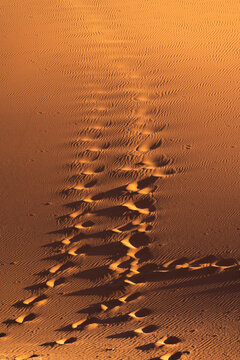 Footsteps in the sand inside the dune
