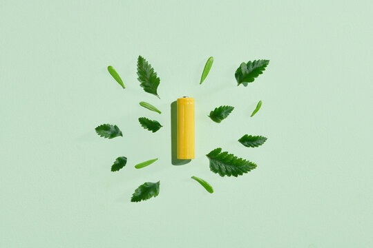 A battery on a green pastel background with green leaves around it. 
