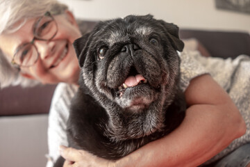 Portrait of black purebred old pug dog sitting with his senior owner on the floor at home. Best...