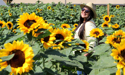 Latin adult woman with sunglasses walks through a field of sunflowers forgets her problems full of happiness in fullness, with tranquility, relaxation, calm, peace and splendor