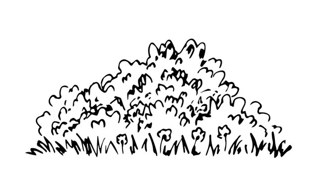 Simple black outline vector drawing. Lush bush, grass and flowers, Vegetation and trees. Nature, summer landscape. Sketch in ink.