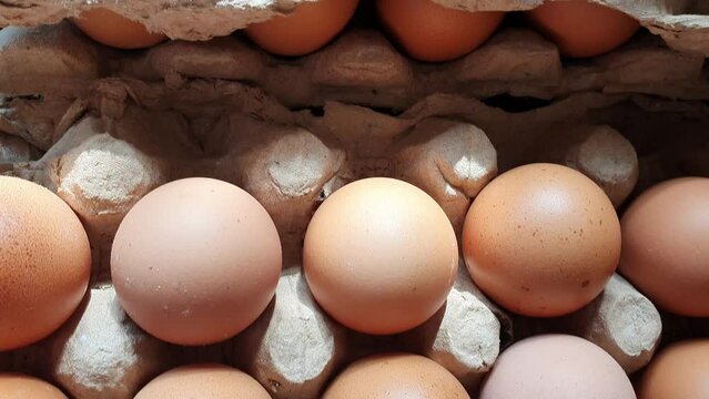 Fresh chicken eggs from farm, egg stock in carton