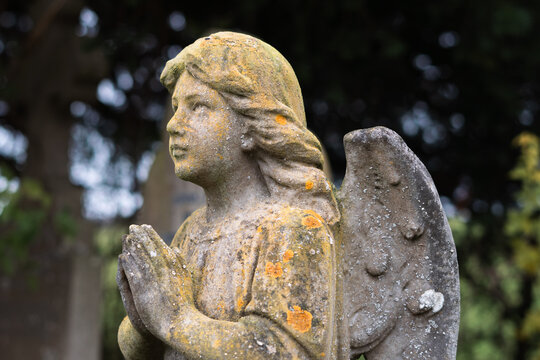 An angel statue in a graveyard