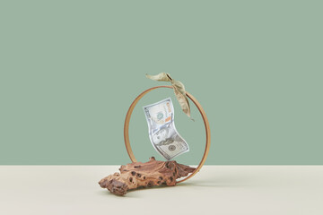 Dollar in metal ring and natural wood display.