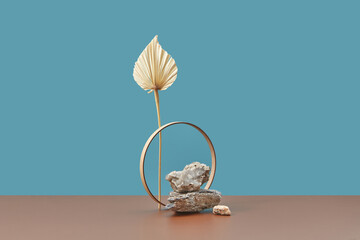 Showcase with metal ring, stone and plant.