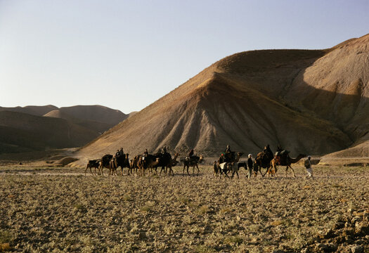 Camel Caravan in Barren Oriental Landscape
