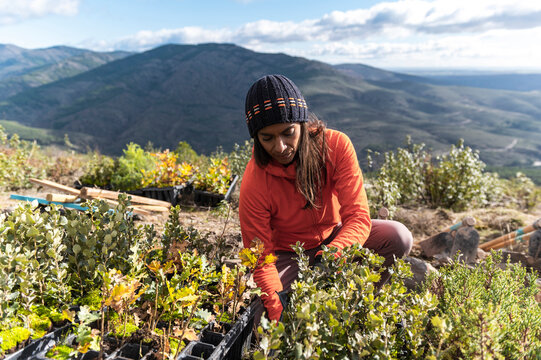 Cooperative woman, volunteer gardening against climate change