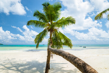 white tropical beach with turquoise colored ocean Anse Volbert beach Praslin Tropical Seychelles...