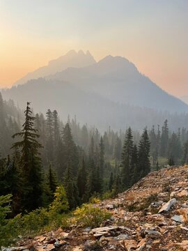mountains and old growth forest at dusk