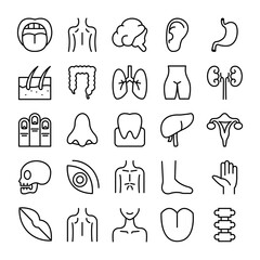 Human body icon set