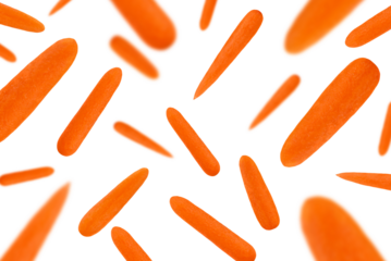 Levitation of peeled baby carrots isolated on a transparent background.