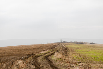 View of the autumn field.