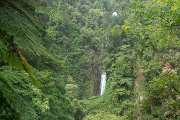 Fototapeta na wymiar Landscape Green Nature Waterfall in Bogor, Indonesia