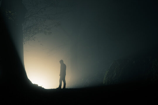 A hooded figure silhouetted in a forest