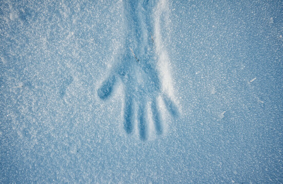 Human Hand Silhouette Winter Snow Texture