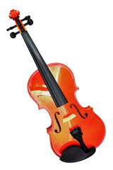 Classic Violin on white background