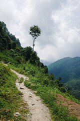 beautiful trekking path close to the Himalayas in the Annapurnas circuit in Nepal 