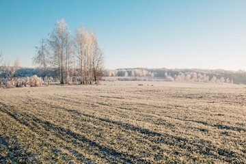 Frozen countryside field in bright sunlight
