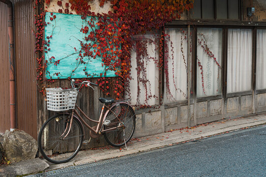 Autumn Bicycle 2