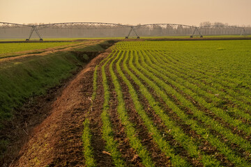 Agricoltura irrigazione tubi campo Pianura Padana - obrazy, fototapety, plakaty