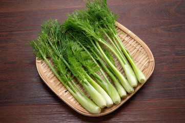 イタリア野菜のスティッキオ