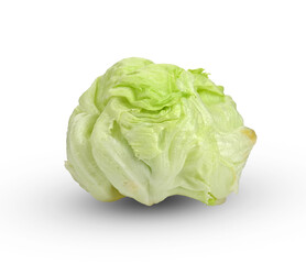 Green Iceberg lettuce on White Background.