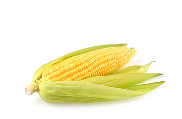 Fresh sweet corn with leaves set on white background