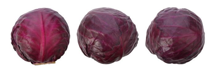 Red cabbage on white background