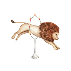 Сute lion jumps through the ring of fire. Watercolor illustrations. Circus performance. Wild African animal. Vintage style. Hand painted drawing for postcards, invitations, scrapbooking