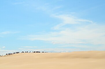 Fototapeta na wymiar karawana walking on dunes and blue sky with clouds