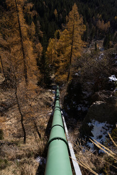 Water pipeline in the woods